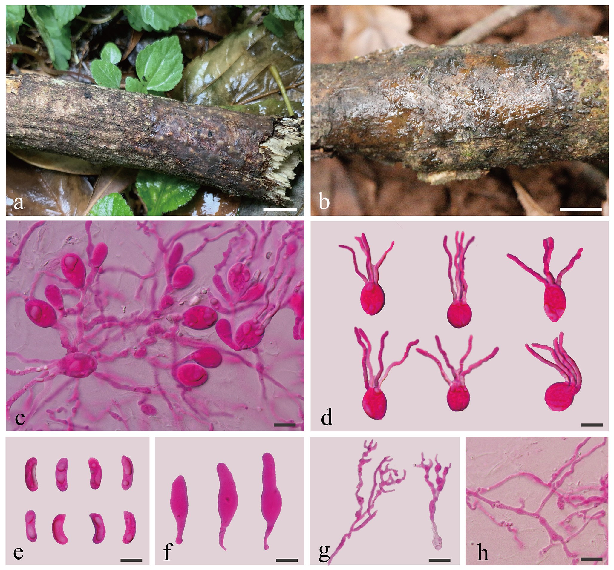Figure 22